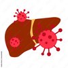 HCV-Entschädigung HCV-Entschädigung